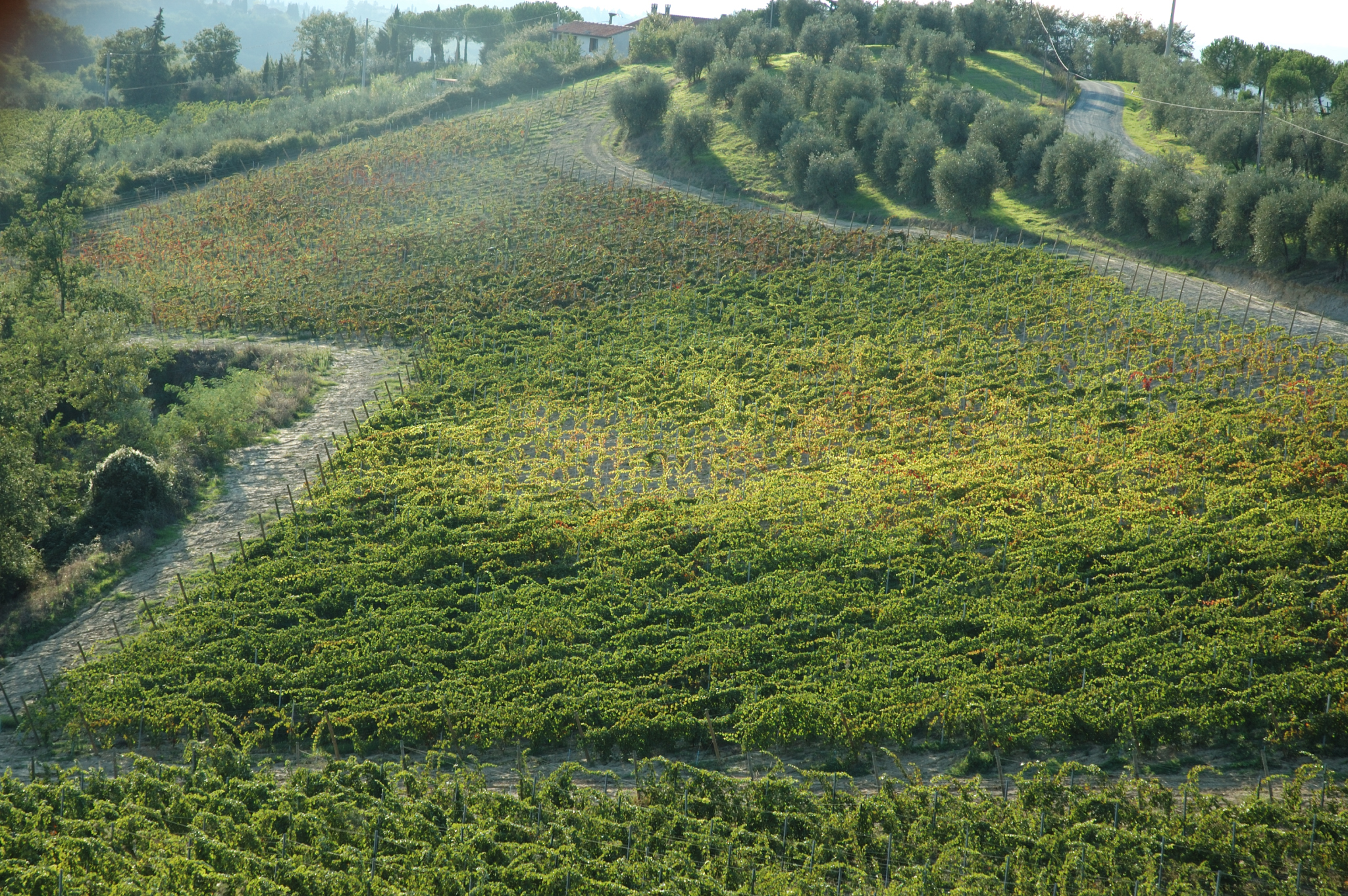 Agriturismo nel Chianti